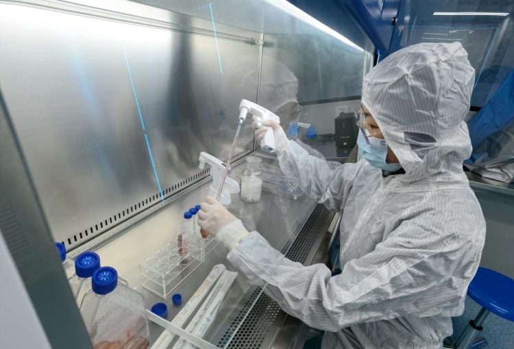 深圳細胞產業迎來新引擎 “大灣區國際綜合細胞庫與區域制備中心”揭牌，加速技術研發與應用